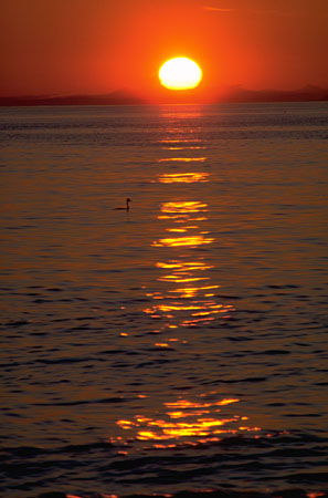 sunset.jpg (37947 bytes)